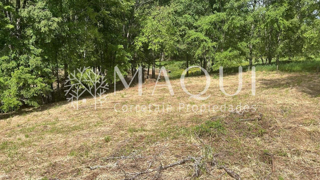 PARCELA, LOTEO CHAHUILCO - foto 2