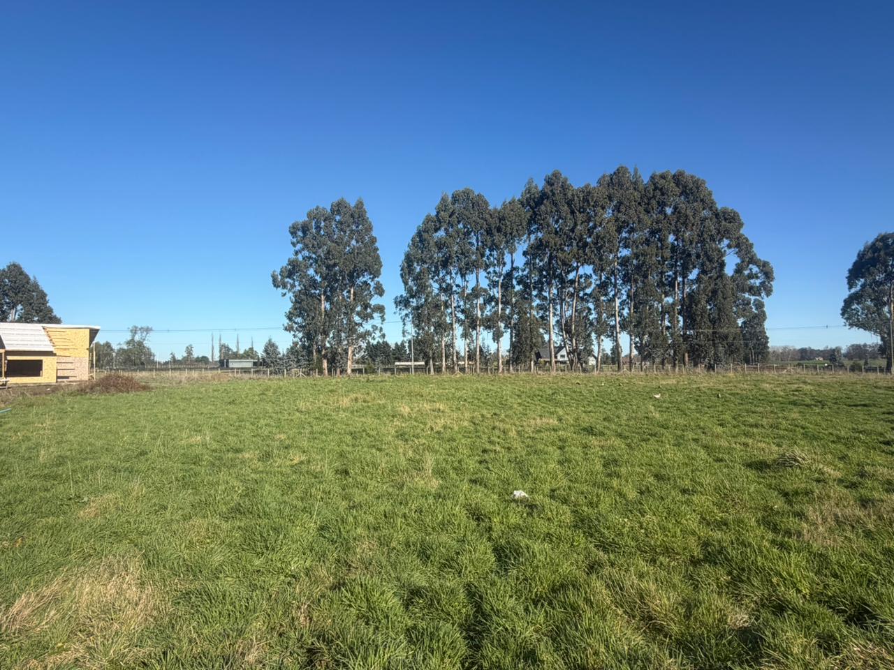PARCELA - GRANEROS DE PILAUCO IV - foto 8