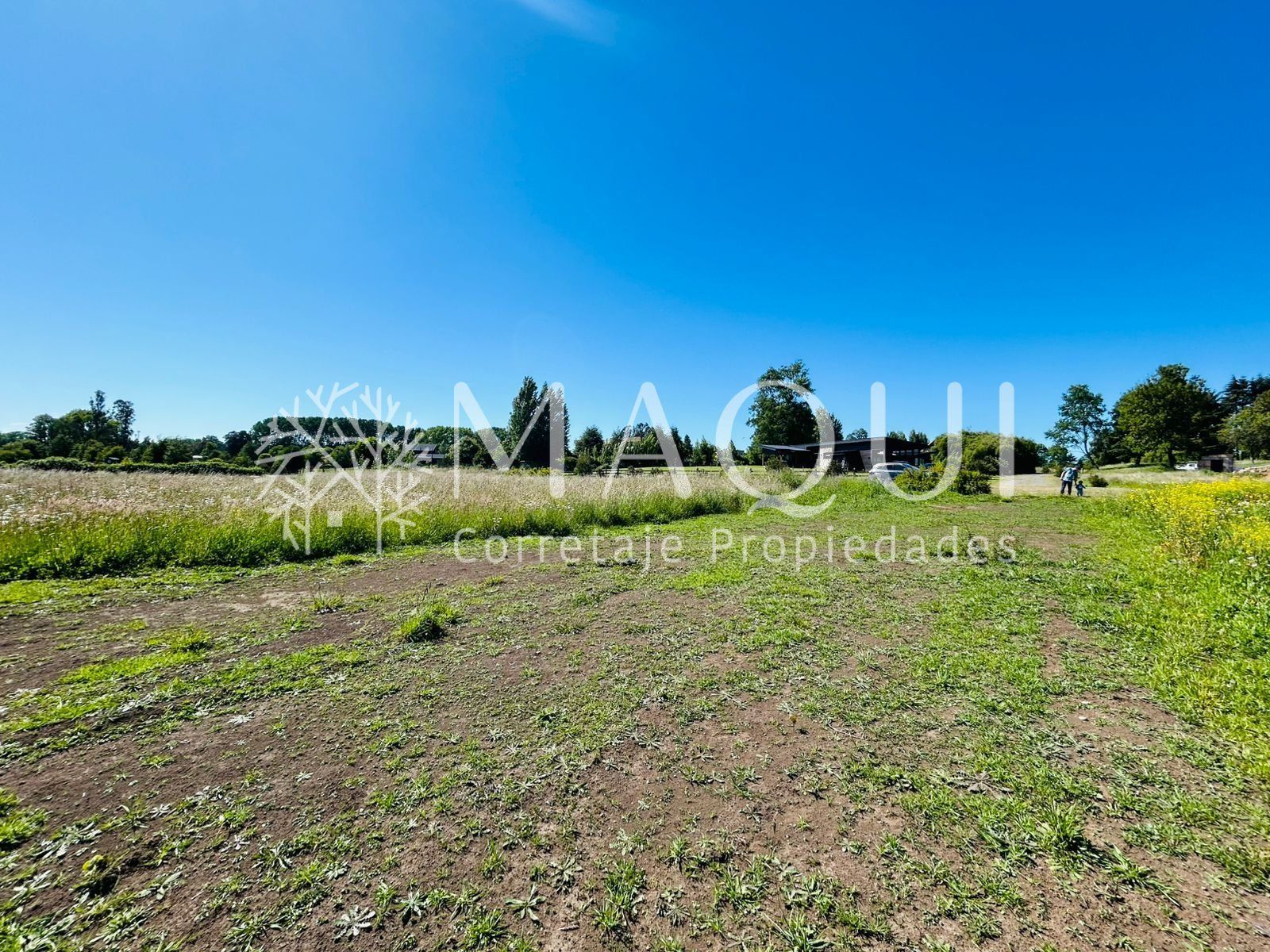 PARCELA, CONDOMINIO LOMAS DEL BOSQUE - foto 10