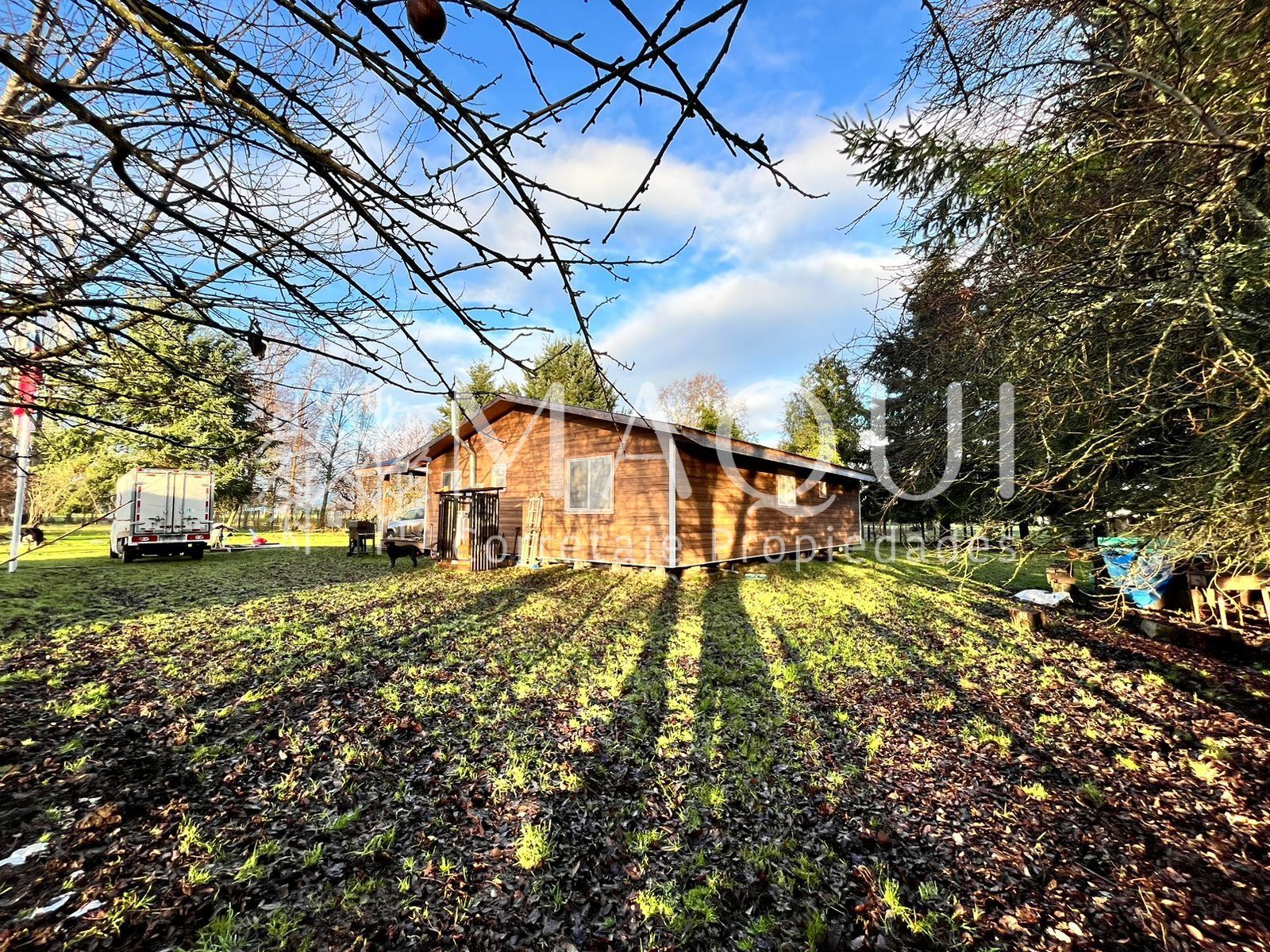 TERRENO AGRÍCOLA, CASA Y GALPÓN - foto 7
