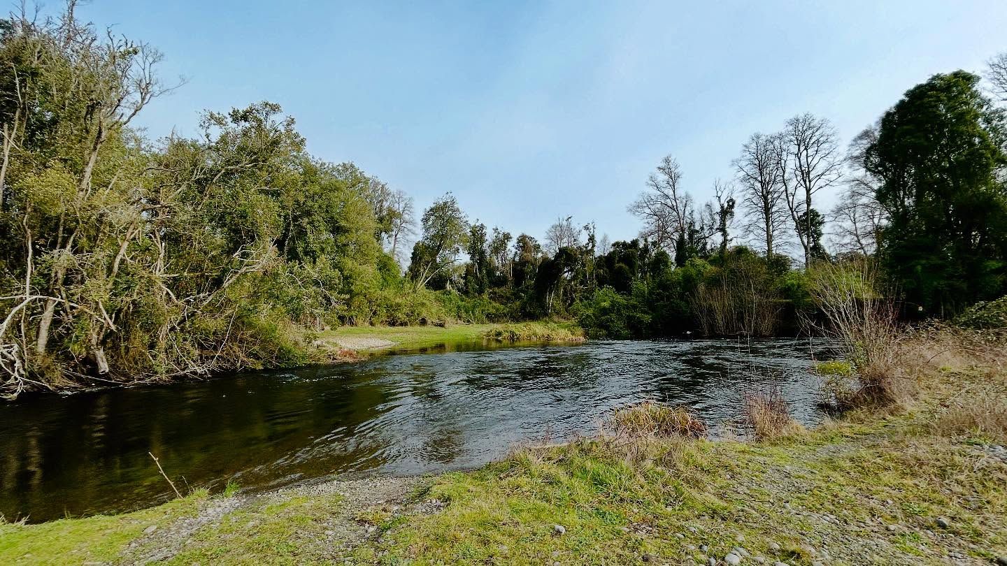 PARCELA, LOTEO RIO DAMAS - foto 5