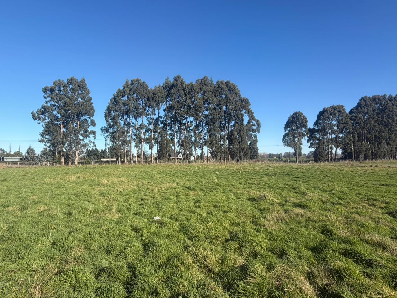 PARCELA - GRANEROS DE PILAUCO IV - foto 7