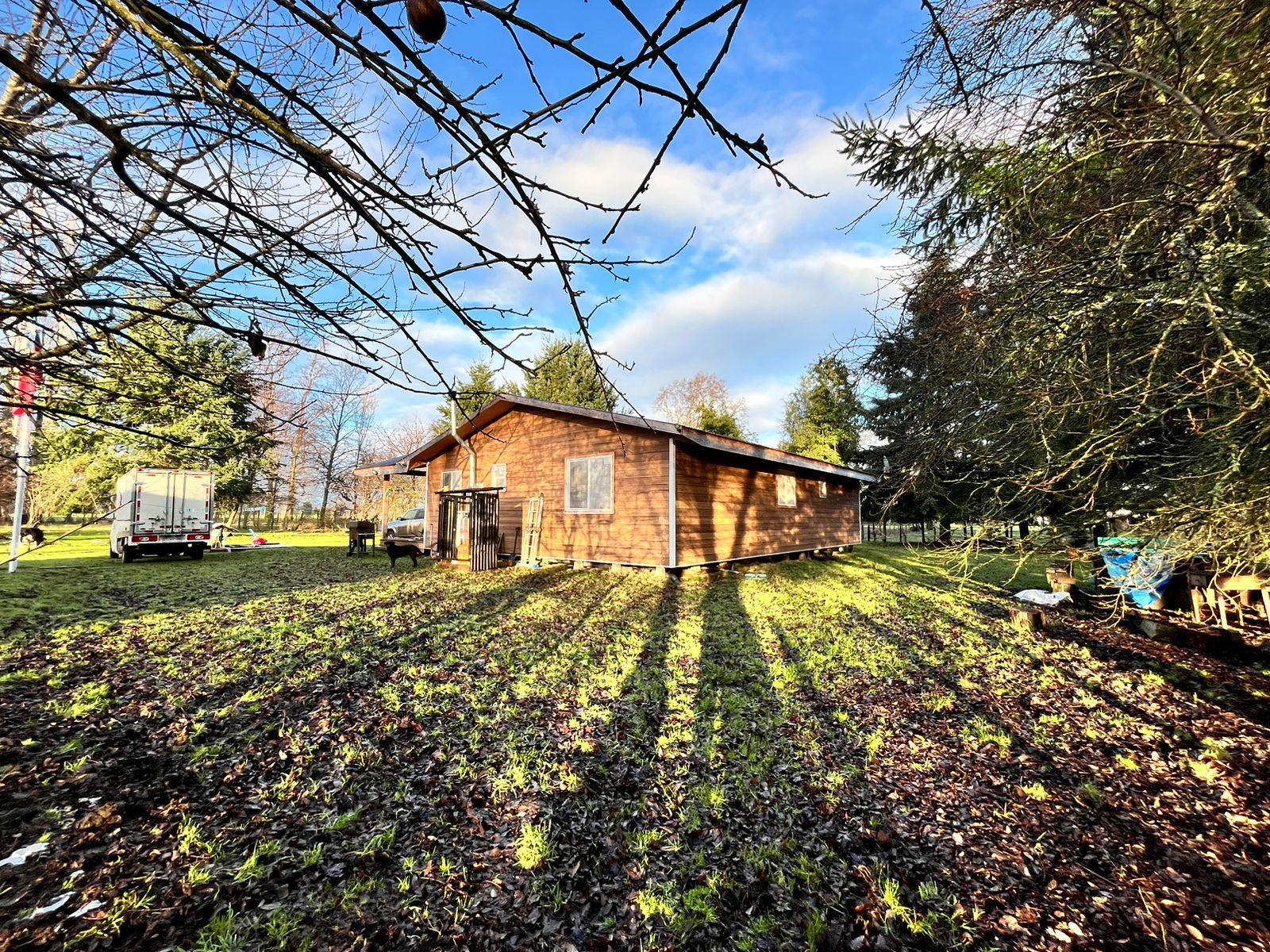 TERRENO AGRÍCOLA, CASA Y GALPÓN - foto 6