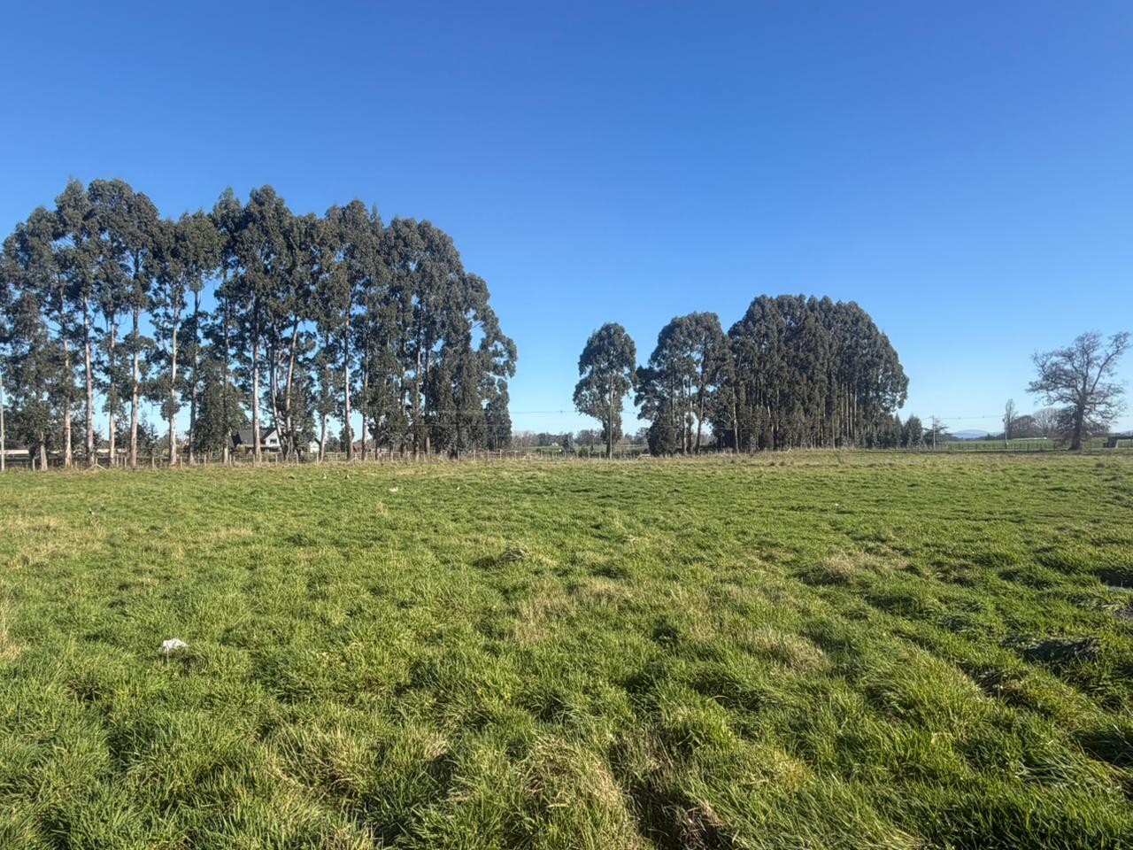 PARCELA - GRANEROS DE PILAUCO IV - foto 6