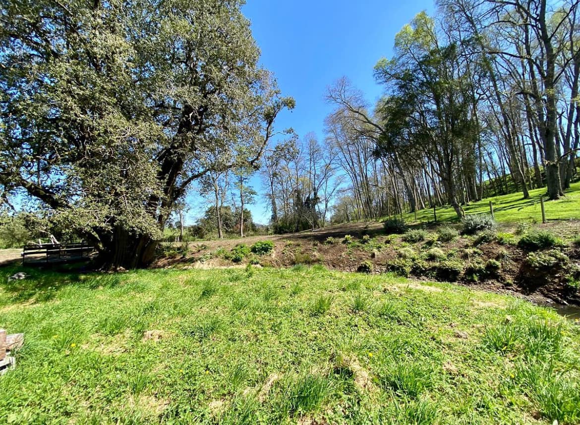 PARCELA, LOTEO SENDEROS DE PILAUCO - foto 7