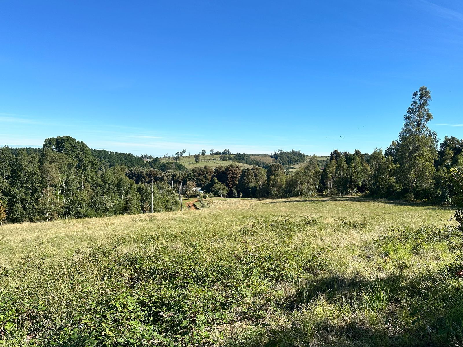 PARCELA, LOTEO TERRANOVA - foto 6