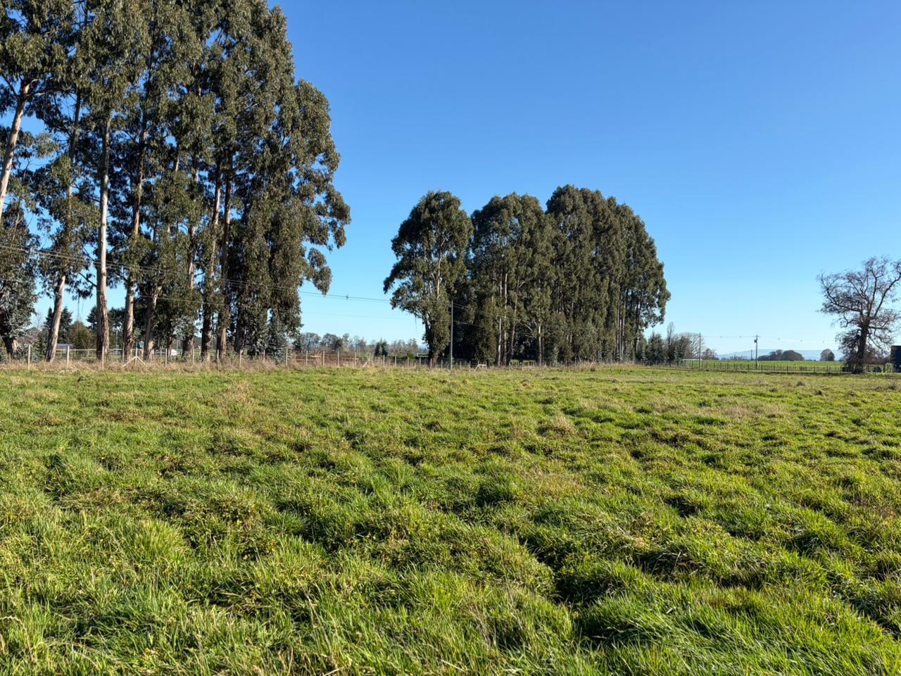 PARCELA - GRANEROS DE PILAUCO IV - foto 15
