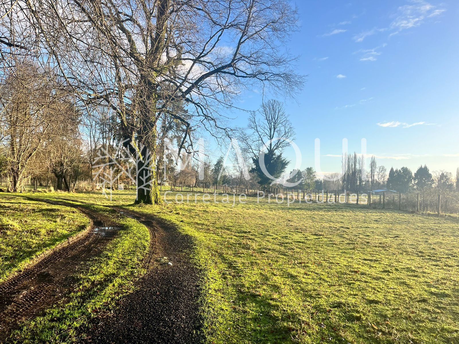 TERRENO AGRÍCOLA, CASA Y GALPÓN - foto 12