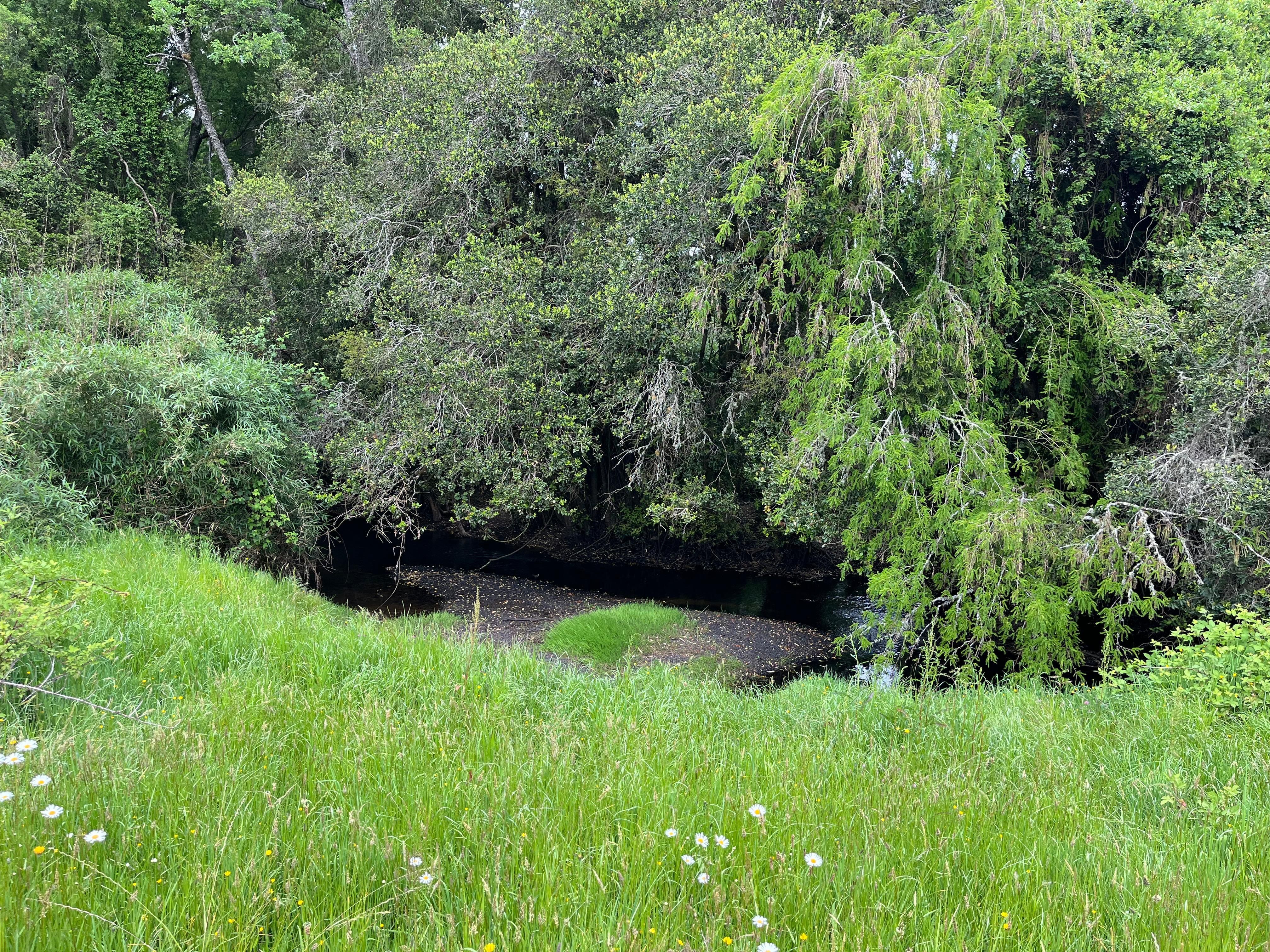 CASA EN PARCELA, SECTOR CHAHUILCO - foto 16