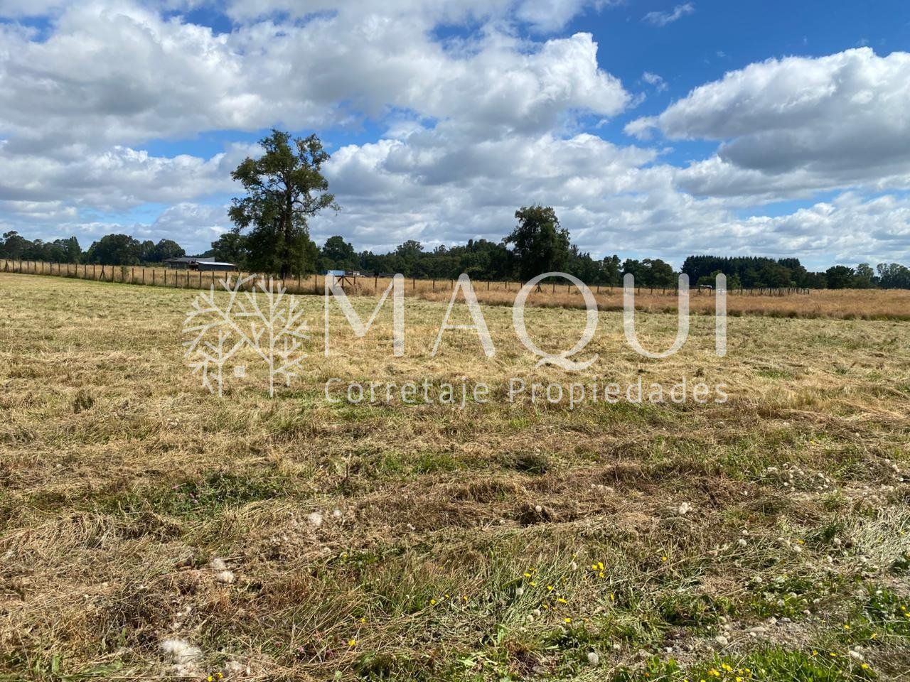 PARCELA, CONDOMINIO BOSQUES DEL TIJERAL - foto 8