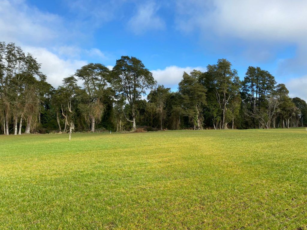 PARCELAS, LOTEO ENTRE RIOS - foto 2