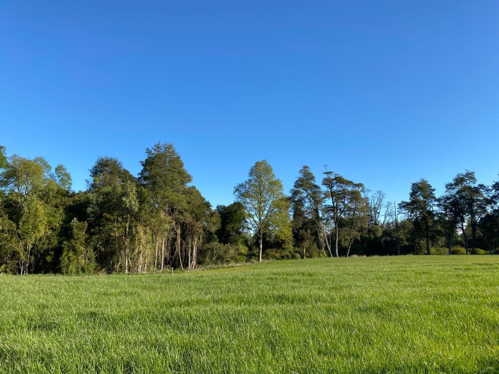 PARCELAS, LOTEO ENTRE RIOS - foto 8