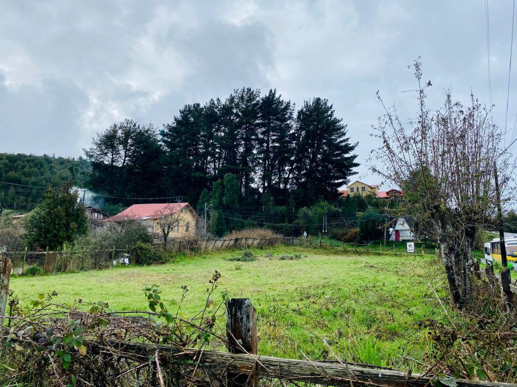 TERRENO URBANO, PUERTO OCTAY - foto 4