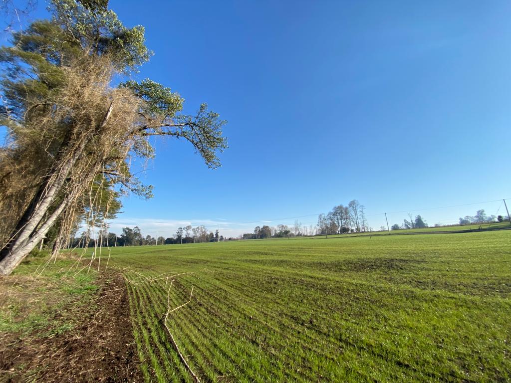 PARCELAS, LOTEO ENTRE RIOS - foto 4