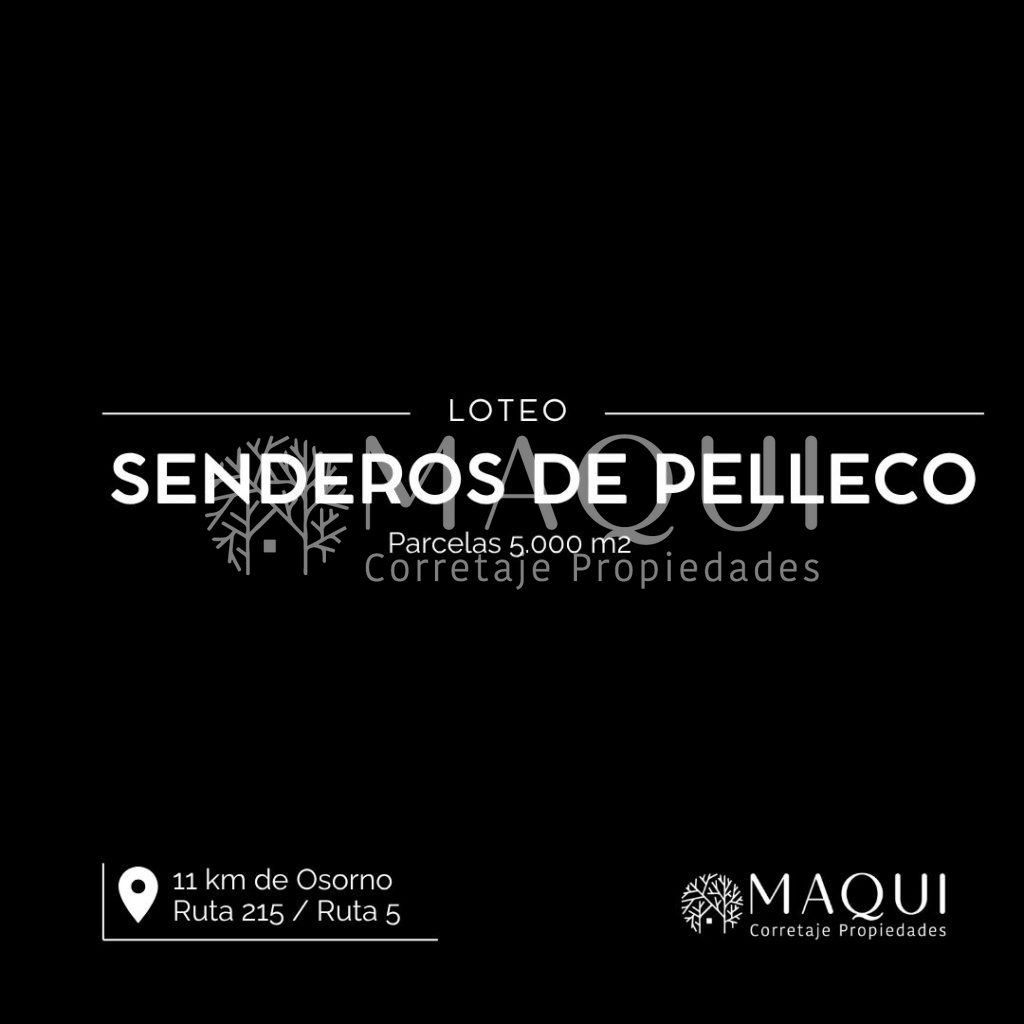 PARCELAS, SENDEROS DE PELLECO