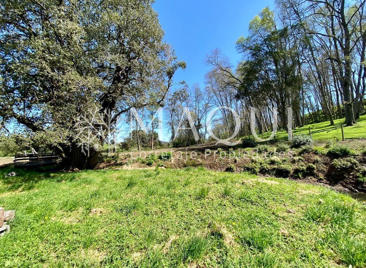 PARCELA, LOTEO SENDEROS DE PILAUCO - foto 7