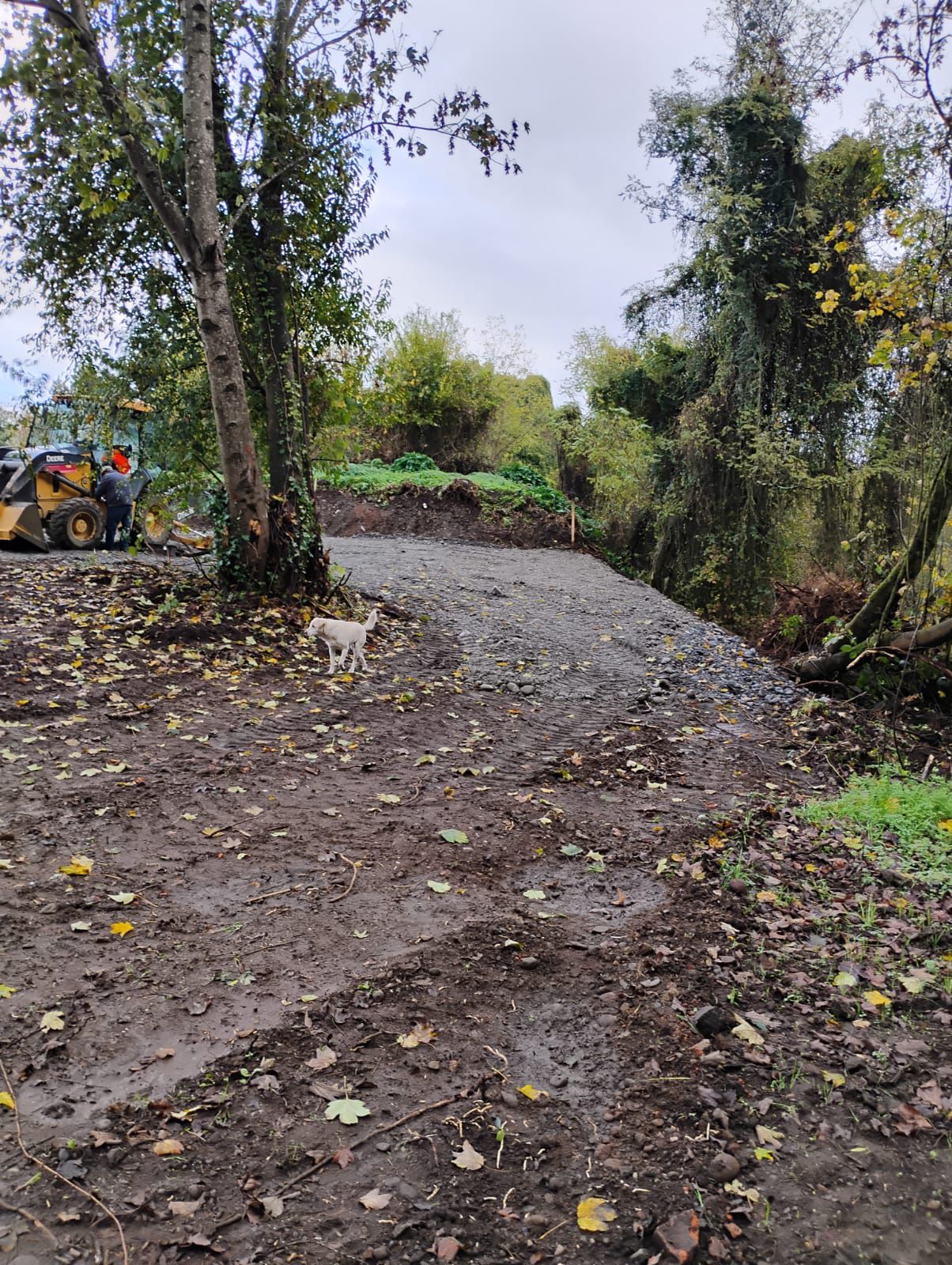 TERRENO URBANO, SECTOR CENTRO OSORNO - foto 8