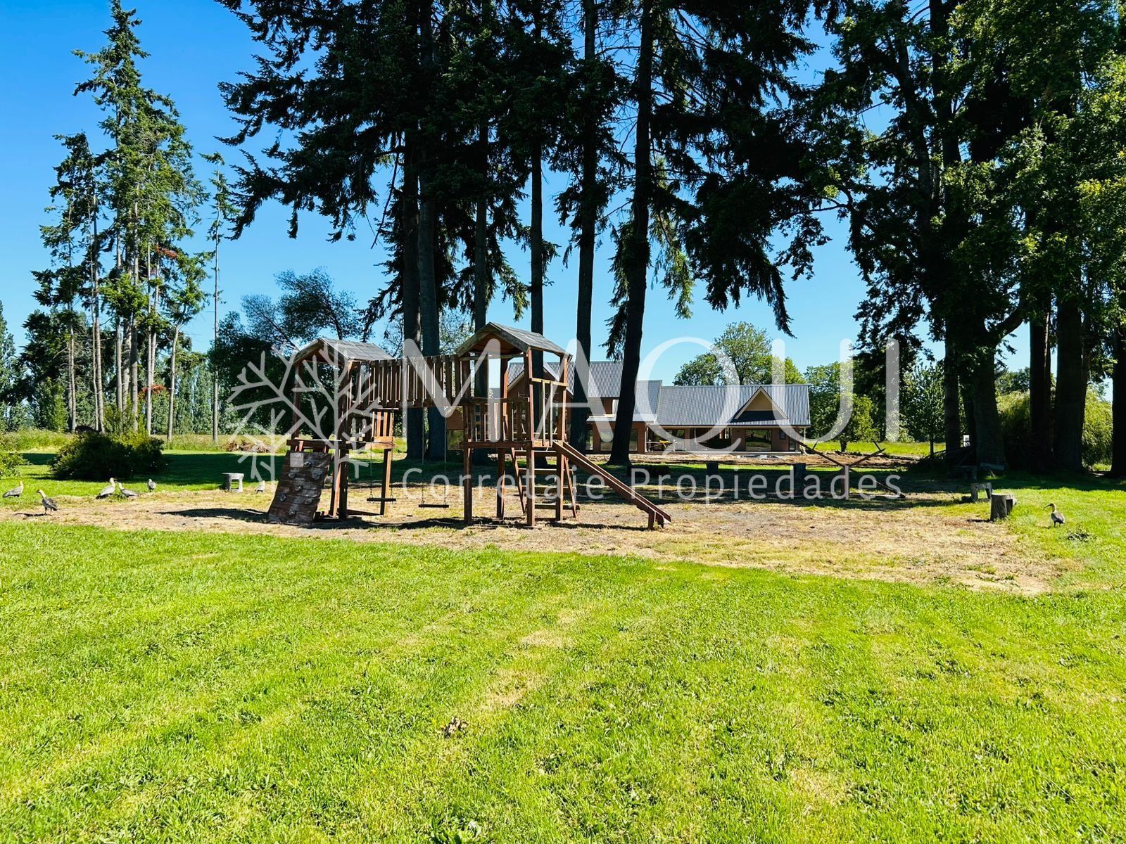 PARCELA, CONDOMINIO LOMAS DEL BOSQUE - foto 11