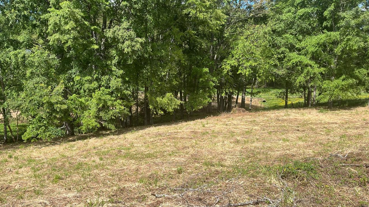 PARCELA, LOTEO CHAHUILCO - foto 3