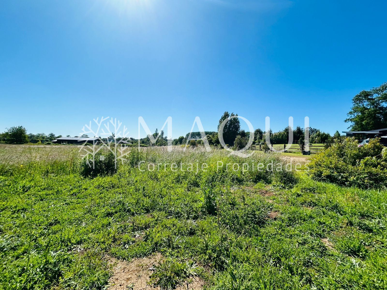 PARCELA, CONDOMINIO LOMAS DEL BOSQUE - foto 4
