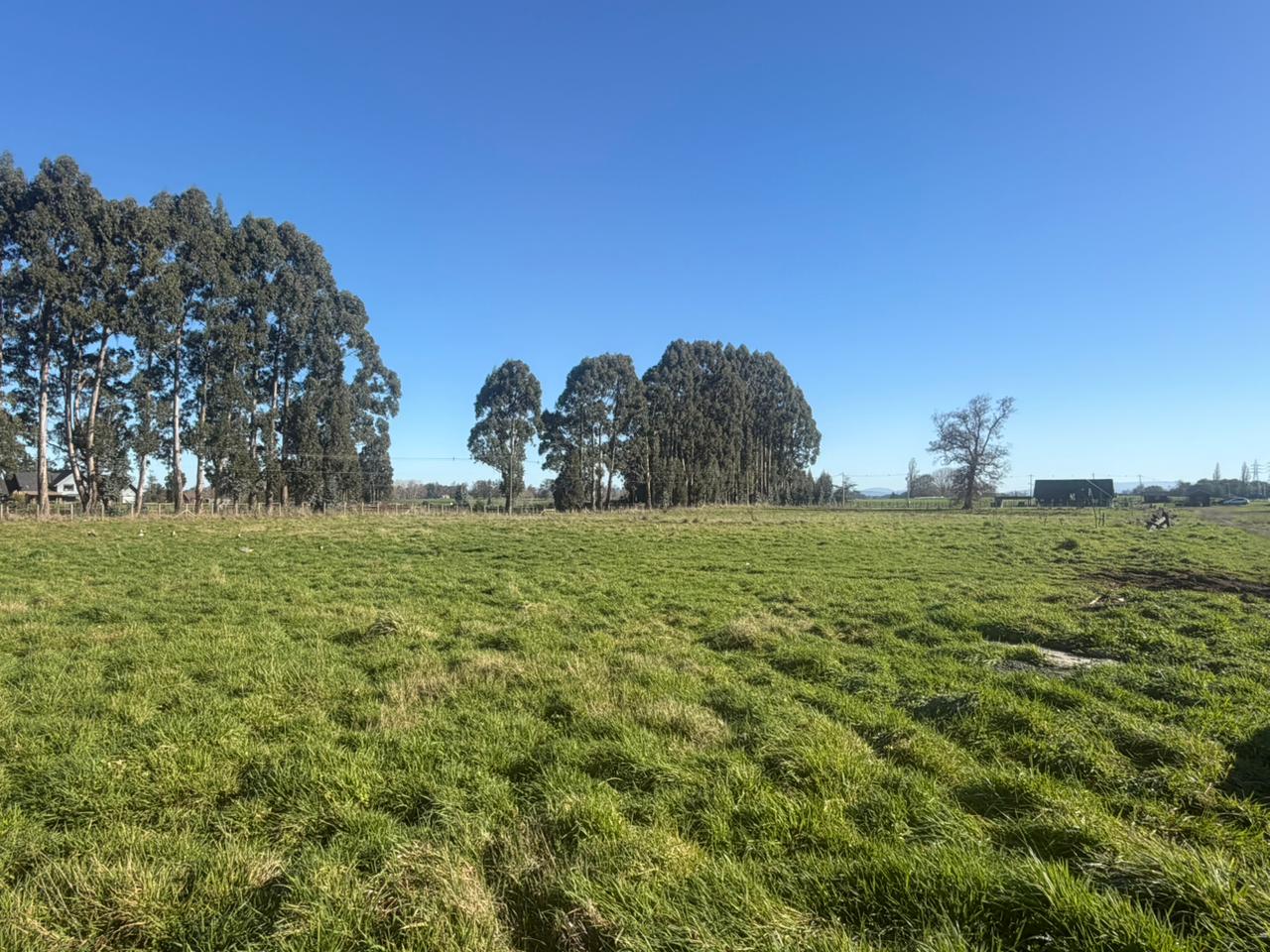 PARCELA - GRANEROS DE PILAUCO IV - foto 14