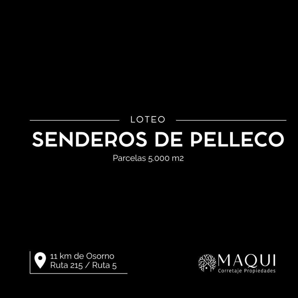 PARCELAS, SENDEROS DE PELLECO