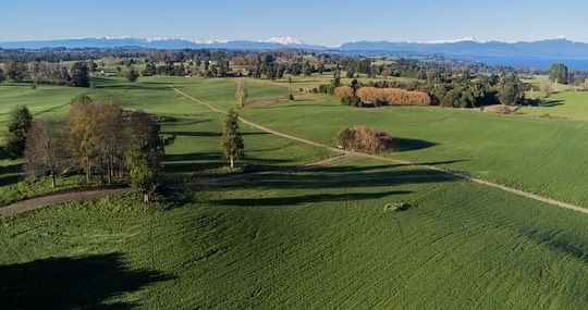 PARCELAS, LOTEO LADERAS DE RUPANCO - foto 3
