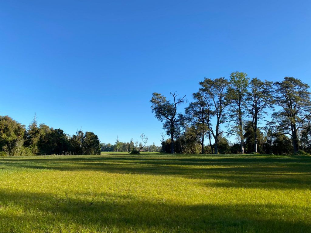 PARCELAS, LOTEO ENTRE RIOS - foto 7