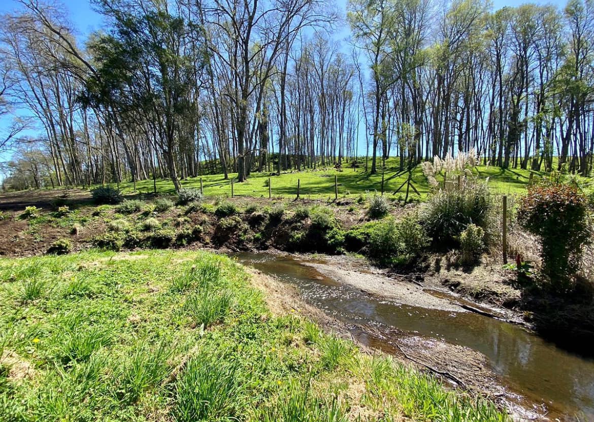 PARCELA, LOTEO SENDEROS DE PILAUCO - foto 4