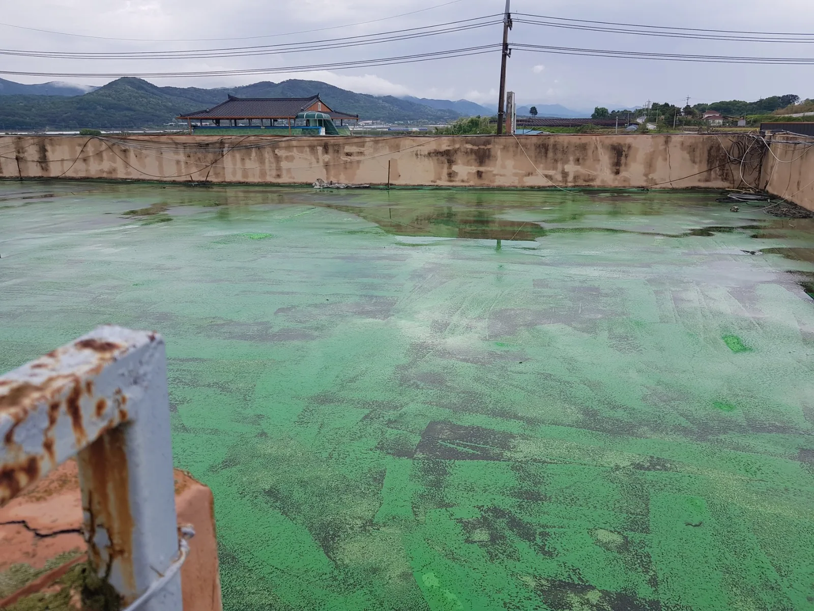 충남 논산시 충남 논산시 농협 옥상방수 시공 전