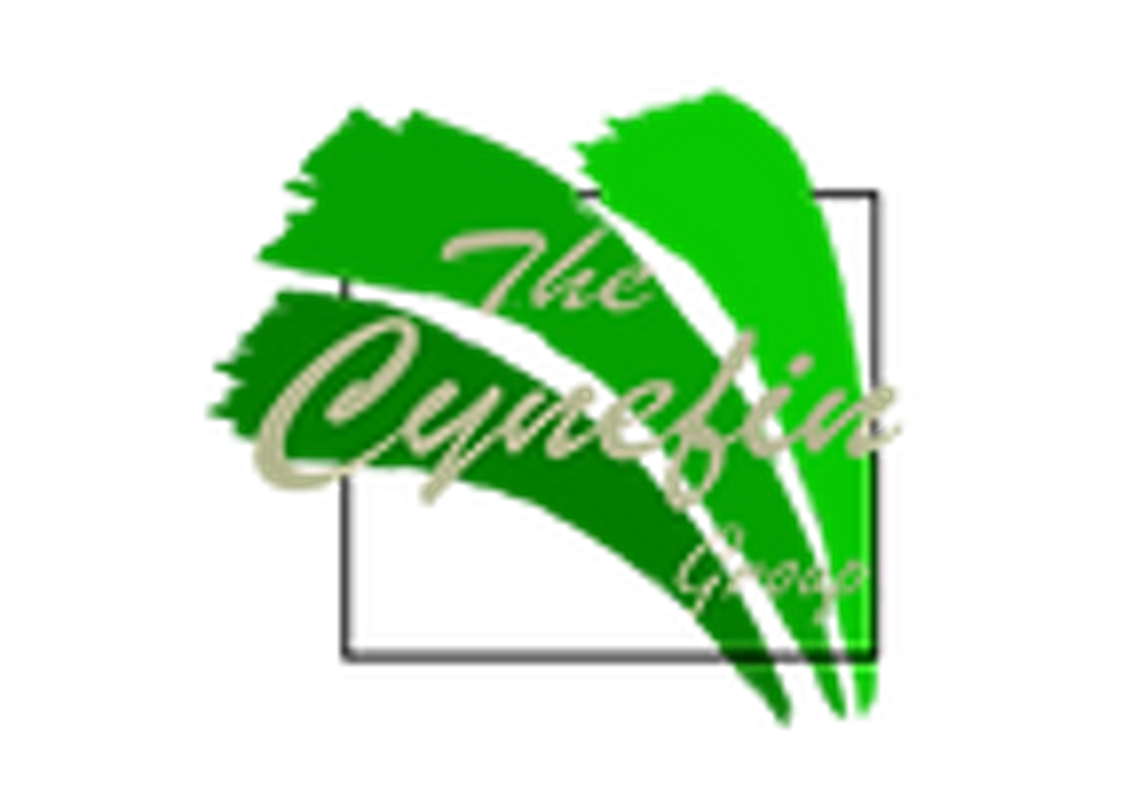 TheCynefinGroup.png