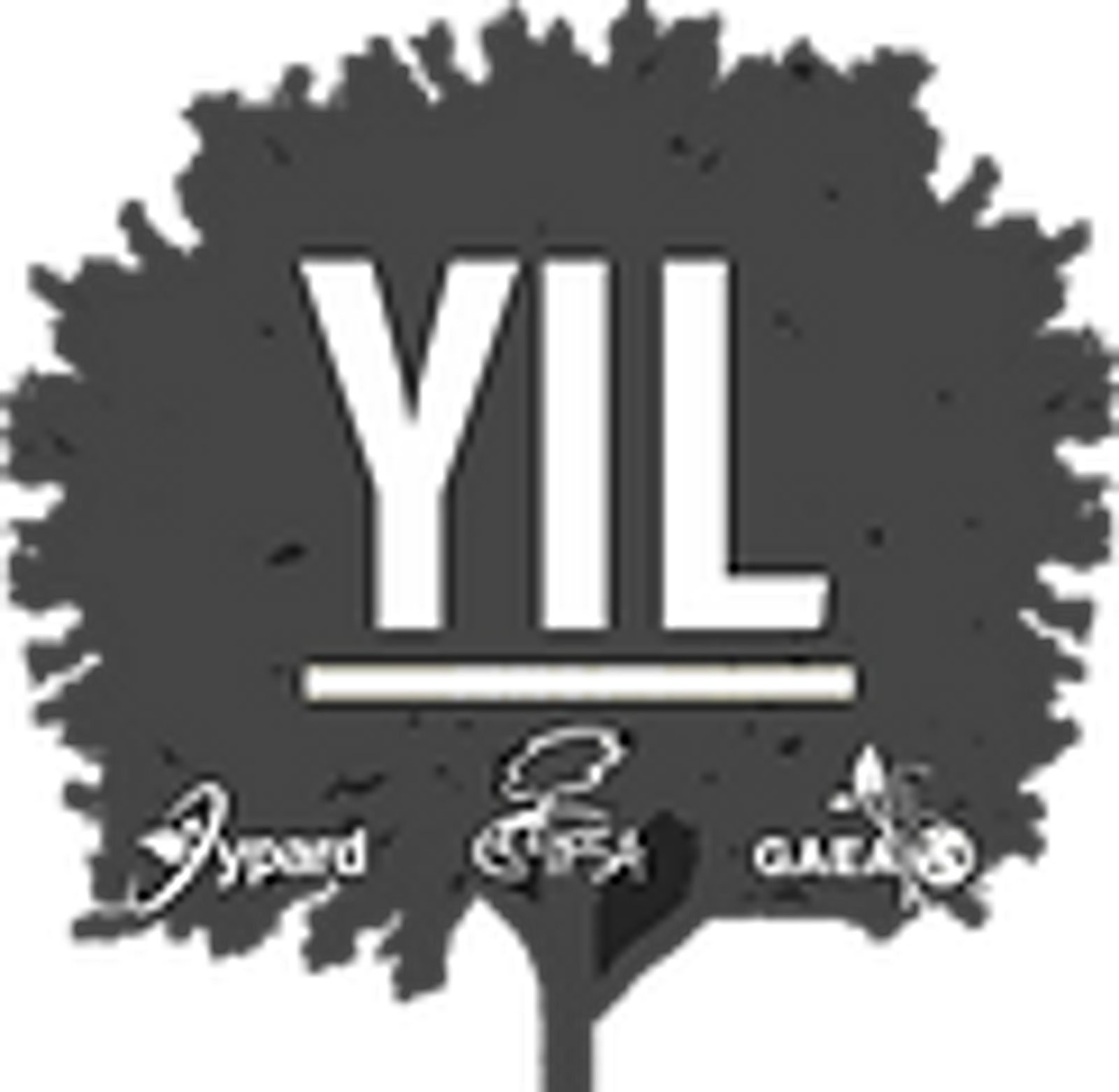 YIL Transparent Profil.png