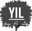 YIL Transparent Profil.png