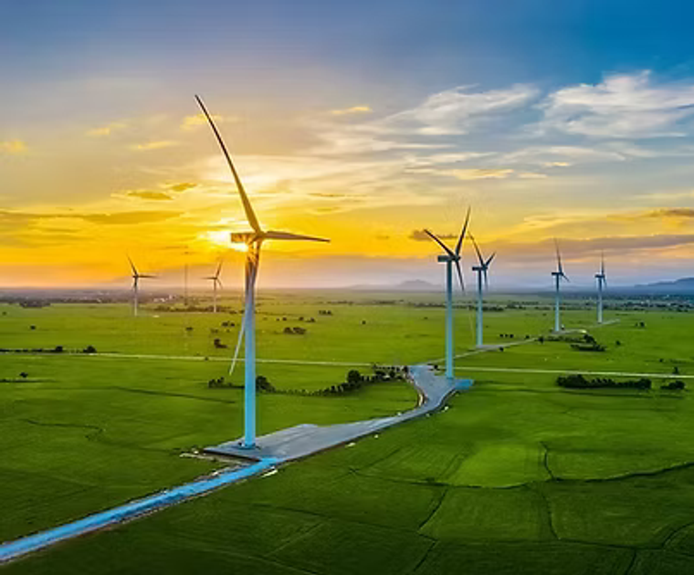 Green economy and resources work area