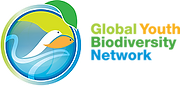 Logo_GYBN_Horizontal-Small.webp