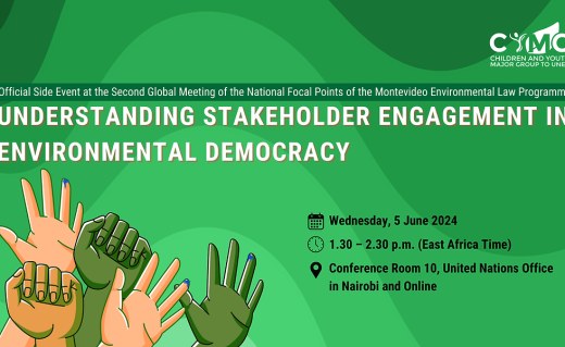 Understanding Stakeholder Engagement in Environmental Democracy