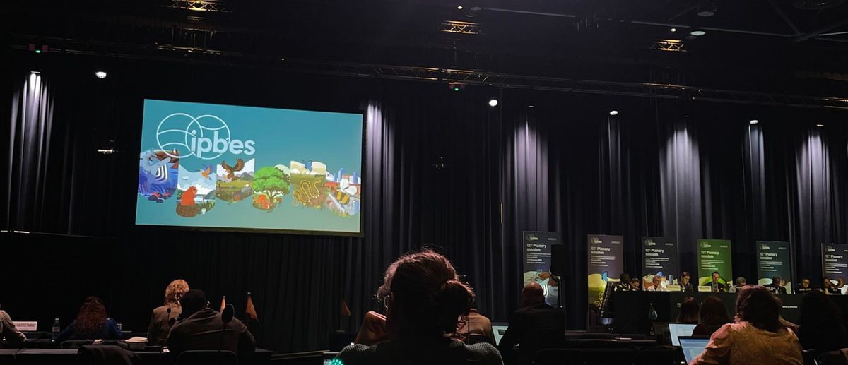IPBES Working Group 2, Manchester, United Kingdom