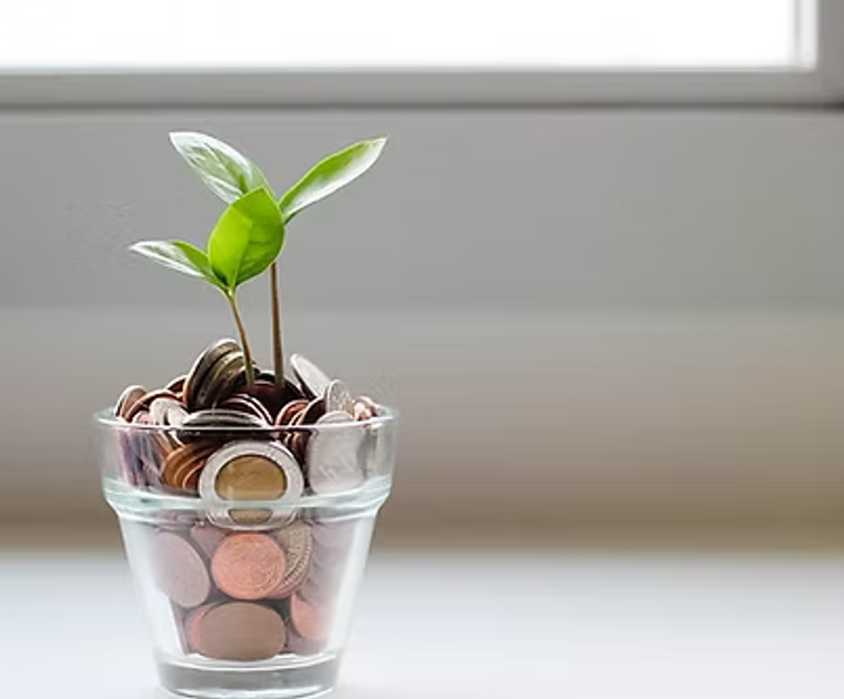 Sustainable finance work area