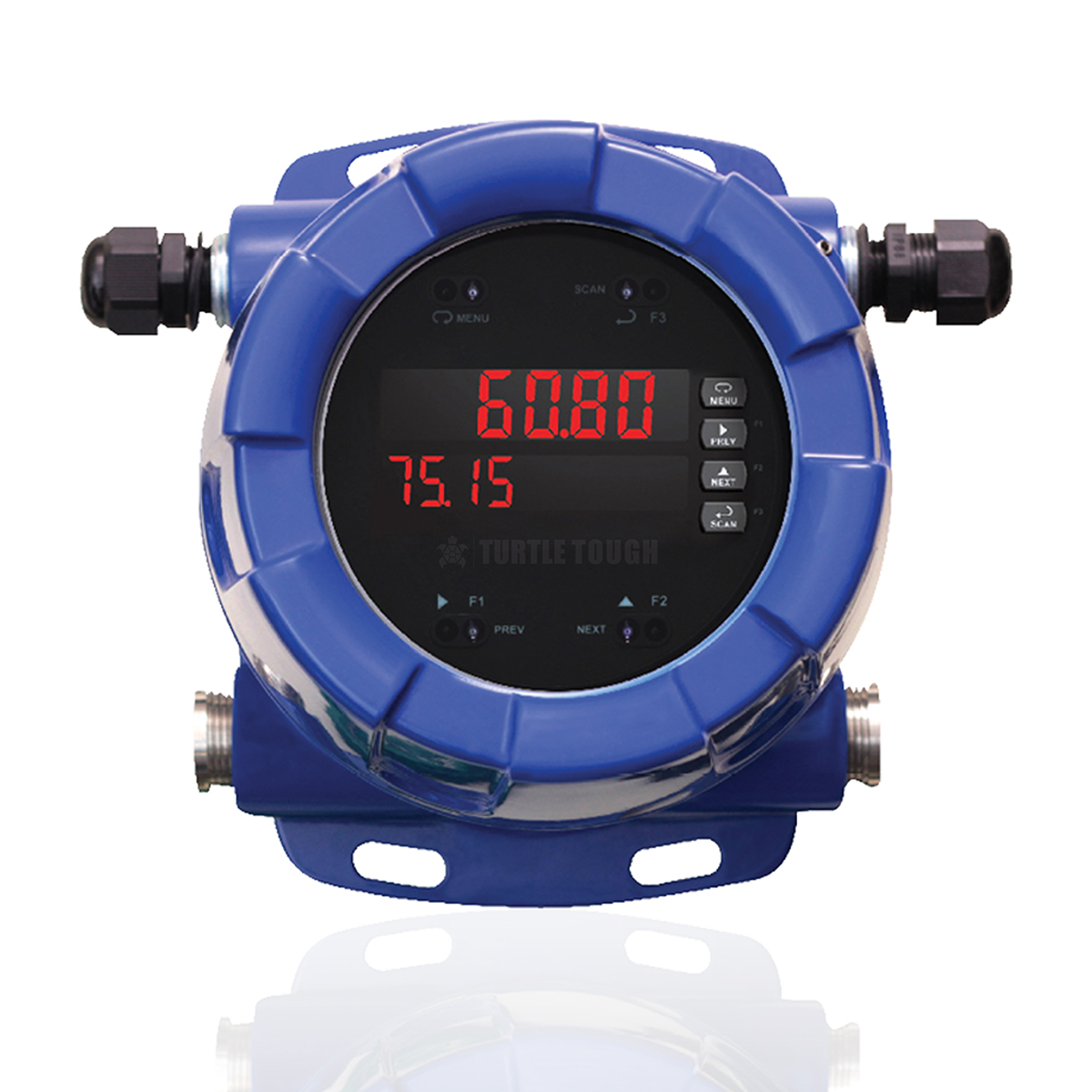 Dijital Smart EX Patlamaya Dayanıklı Transmitter