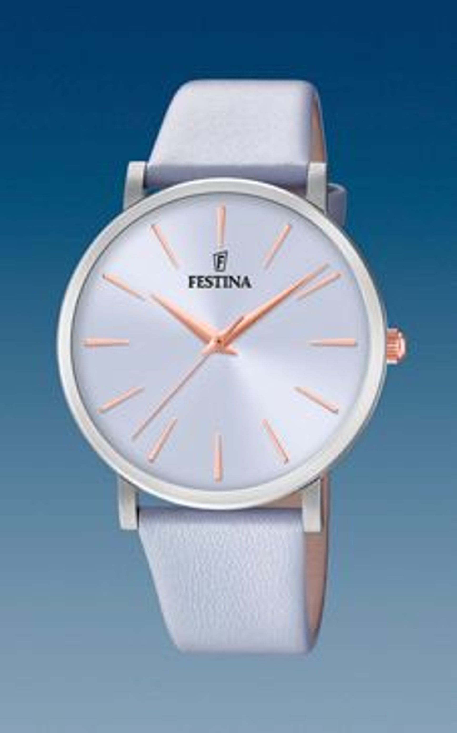 Festina F20371/3