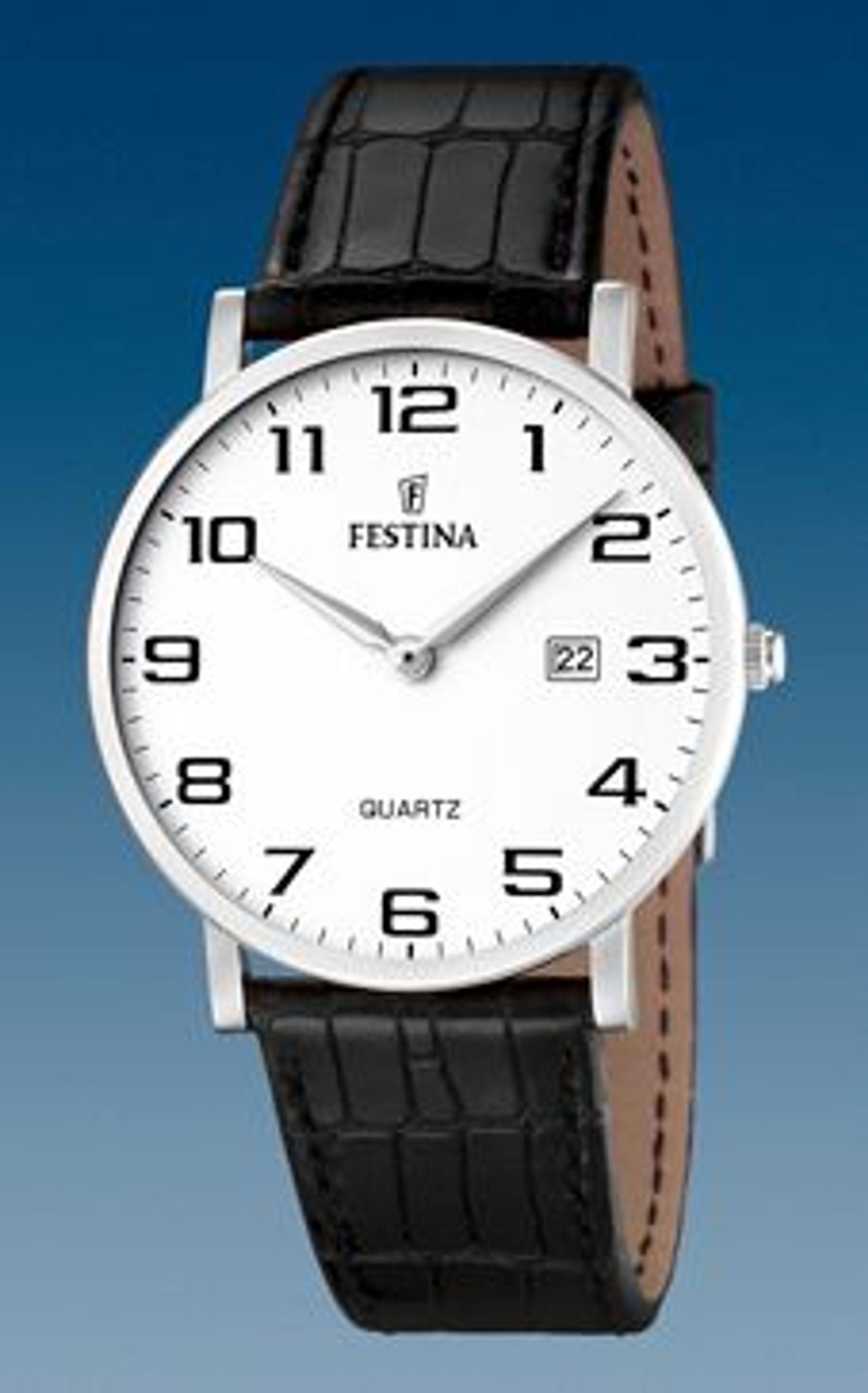 Festina F16476/1