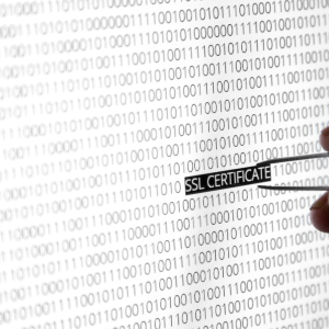 The Role of SSL Certificates in Website Security