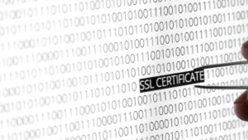 The Role of SSL Certificates in Website Security