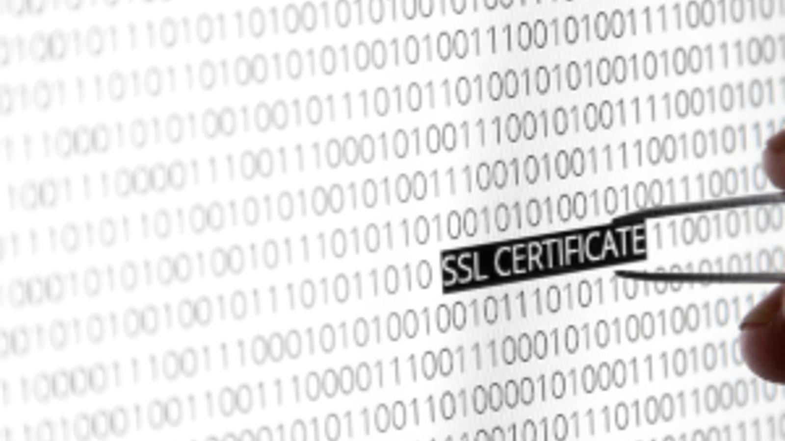 The Role of SSL Certificates in Website Security