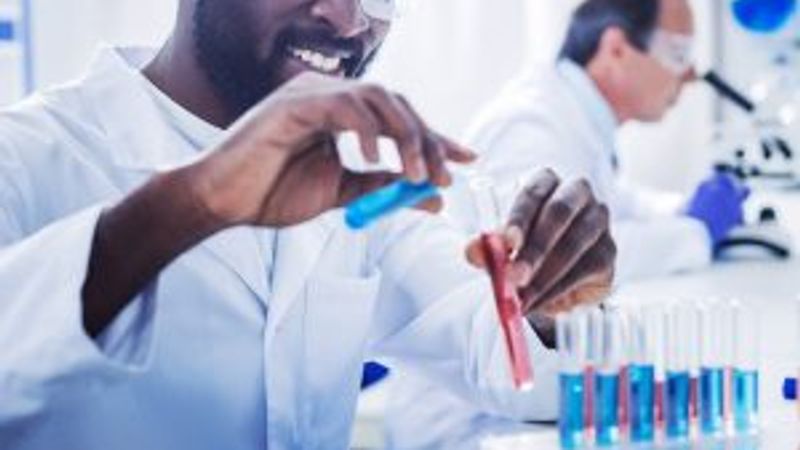 The Importance of Testing in Your Web Development