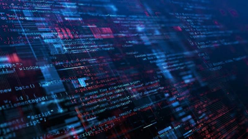 Web Design vs. Web Development: What's the Difference?