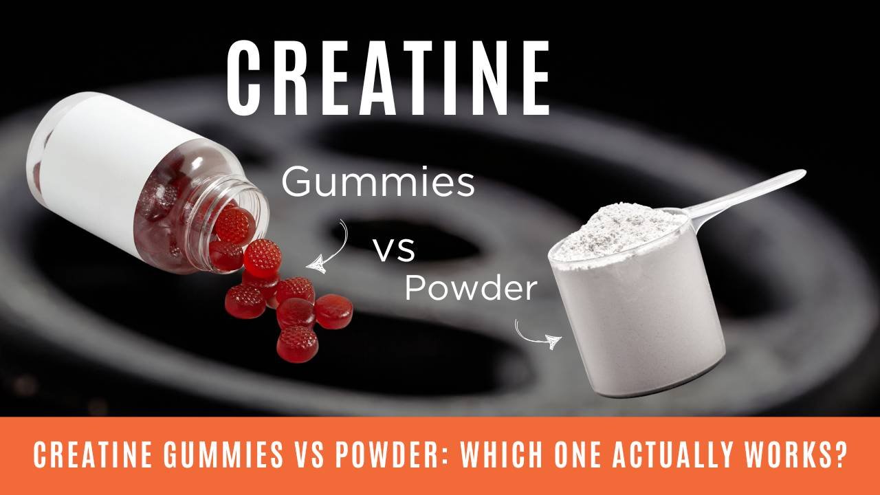 Creatine Monohydrate Gummies vs. Powder