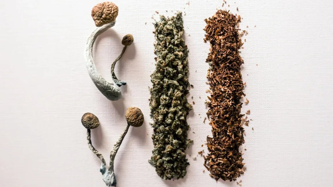 From Brain Fog to Flow State: The Australian Guide to Functional Mushroom & Cannabinoid Gummies