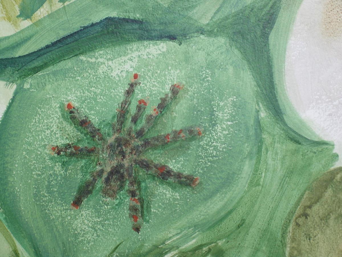 Detal powierzchni muralu, namalowana tarantula w pokoju dziecka, matowe wykończenie farby akrylowej.