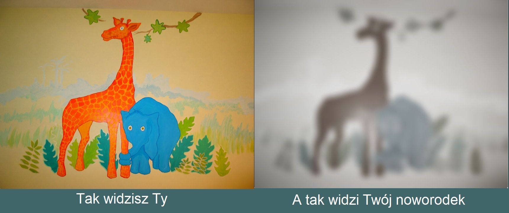 Blurred grey-scale outlines representing how a newborn sees the world